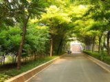 2008北京社會(huì)優(yōu)質(zhì)工程之朝陽區(qū)勁松街道