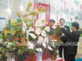 花卉業(yè)正向縱深成熟邁進
