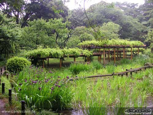 在東京感悟日本園林(組圖)
