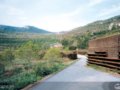 Vall den Joan(chng)^