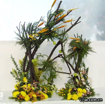 ڰˌЇ(gu)ջչ֫@(jing)廨Ʒp(MD)