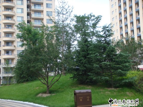2008(hu)(yu)|(zh)֮ɇH@H^(q)@־^