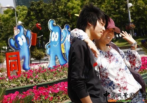 �Ϻ�����ϲ�c��������Ӌ�rһ����(�M�D)