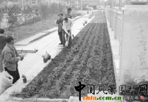 �L(zh��ng)����ͨ�Ӱ�����8�f(w��n)���r��(�D)