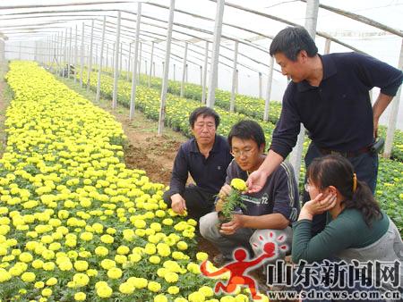 ɽ�|��Ҋ����W���ɞ黨�r�����G�G��