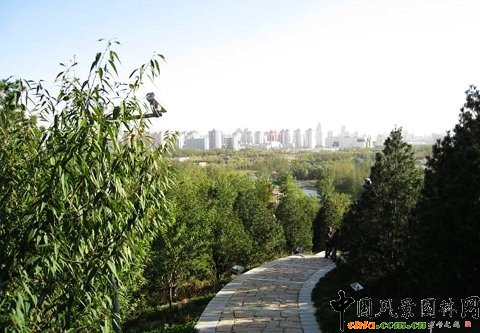 �W��ƥ��ɭ�ֹ��@����-�����_