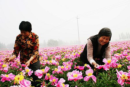 ɽ�|���f��ǧ��ˎ�@����ˎʢ�_