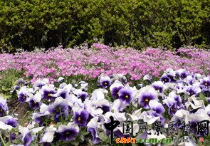 ȫ�����،����r�����n���60�A�Q