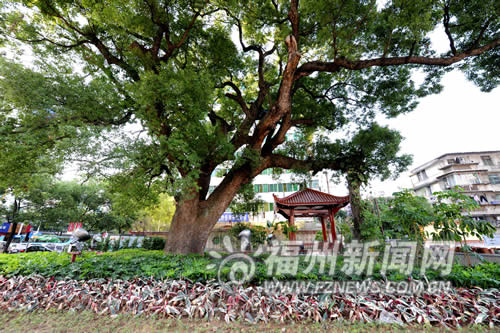 ͬ�ۈ@���@���������_�š��ԡ��ۡ��֞����}