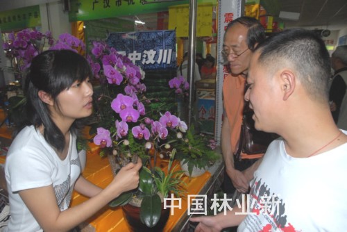 �D�黨ľ��I(y��)�T�����������B�a(ch��n)Ʒ��