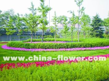 �������c�[��ȫ�憢��(�D)