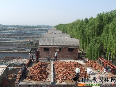 �S���(zh��n)�ӿ컨�ܺ��ą^(q��)������������