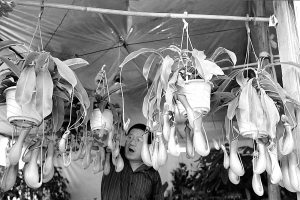 ���i�\�ݡ��ܜ���?�@���̼ҏ��ӽo������Ч