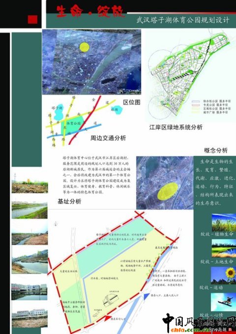 華中農大畢設作品