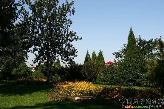八寶山地鐵東北口綠地中流線型種植的花卉