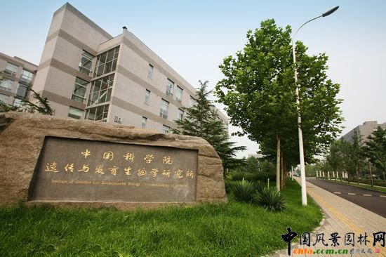中國(guó)科學(xué)院遺傳與發(fā)育生物學(xué)研究所