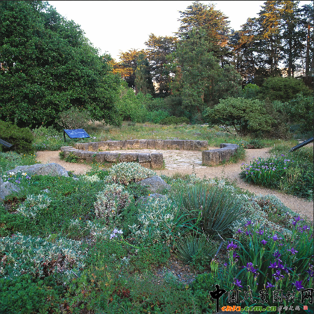 阿瑟L·孟席斯加州鄉土植物園(組圖)
