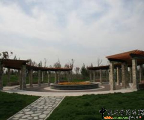 菏澤市曹州牡丹園