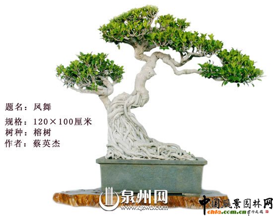 Ȫ݃辰@Ї辰ِ