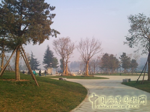 張新宇 景觀設計 滄州雜技園 北京園博會設計師廣場 中國風景園林網(wǎng)