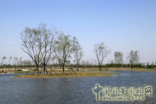 張新宇 大興新城濱河森林公園  規(guī)劃設(shè)計(jì) 設(shè)計(jì)師廣場(chǎng) 中國(guó)風(fēng)景園林網(wǎng)