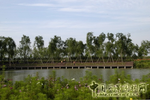 張新宇 大興新城濱河森林公園  規(guī)劃設(shè)計(jì) 設(shè)計(jì)師廣場(chǎng) 中國(guó)風(fēng)景園林網(wǎng)