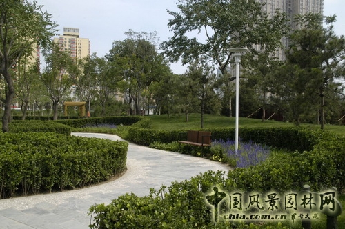 張新宇 公園綠地建設(shè)工程  規(guī)劃設(shè)計(jì) 設(shè)計(jì)師廣場 中國風(fēng)景園林網(wǎng)