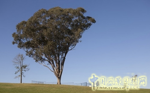 悉尼西部公園設(shè)計 世界園林  規(guī)劃設(shè)計 中國風景園林網(wǎng)