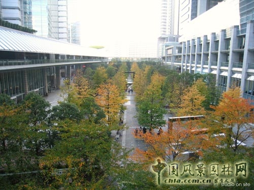 中國風景園林網(wǎng) 三谷徹 中央公園