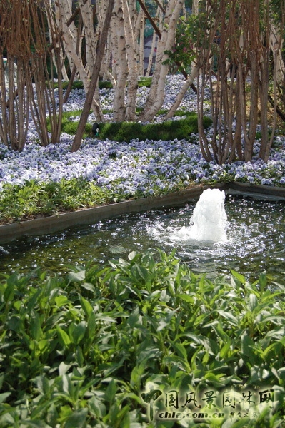 郭明 世華泊郡 庭園設(shè)計(jì) 景觀設(shè)計(jì) 中外園林 中國(guó)風(fēng)景園林網(wǎng)