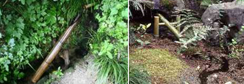 日本 景觀 庭院 設計 中國風景園林網