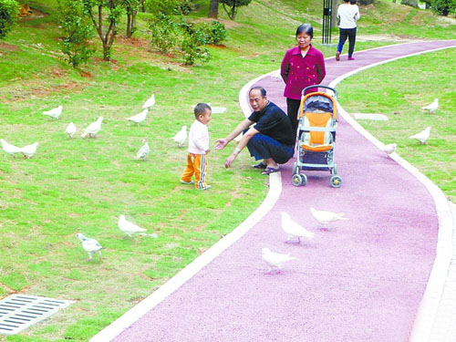 廣東 綠道 香洲