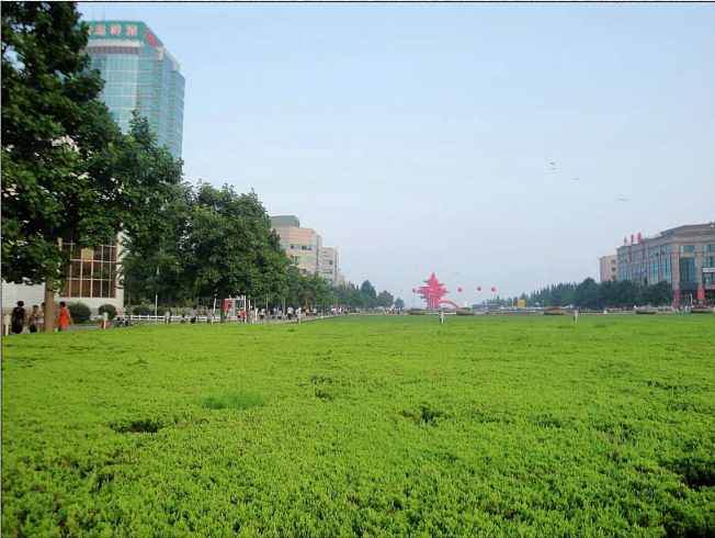 魯班獎(jiǎng)  景觀 展示 青島 五四廣場(chǎng) 中國(guó)風(fēng)景園林網(wǎng)