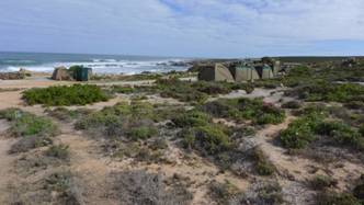 中國(guó)風(fēng)景園林網(wǎng) ifla 風(fēng)景園林師