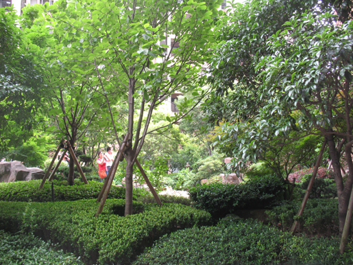 泰和·天辰國際 空中花園 屋頂綠化 中國風景園林網
