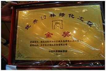 圖為神農(nóng)城項目所獲獎牌 