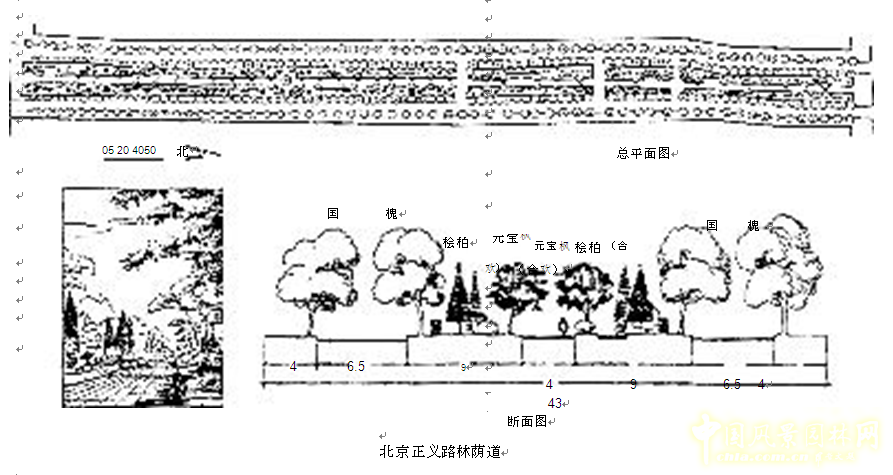 劉秀晨 綠色的云 北京 城市道路 綠化 中國風(fēng)景園林網(wǎng)