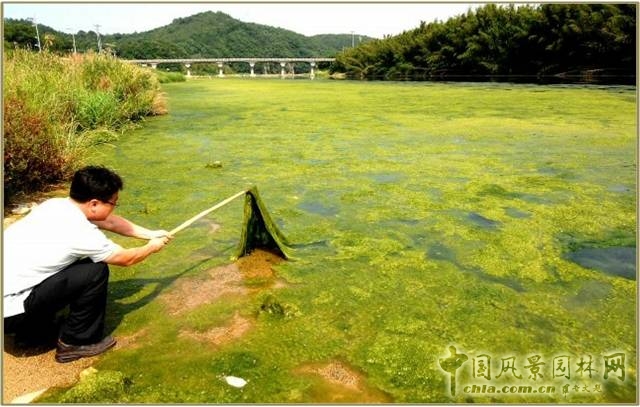 韓國四大江