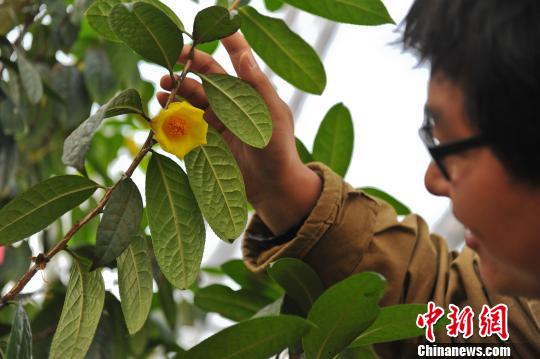 中國風(fēng)景園林網(wǎng)