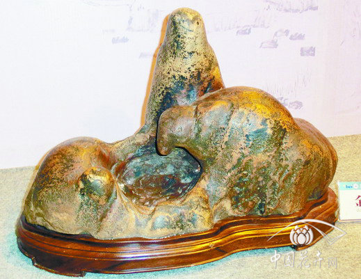 盆景 獲獎作品 揚(yáng)州