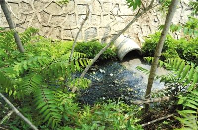 上莊水庫 景觀用水 北京水庫 水污染