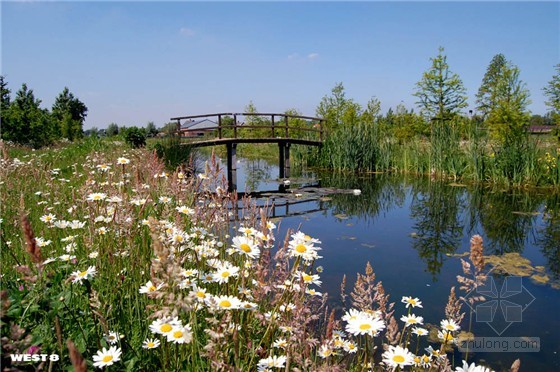 荷蘭馬克西姆公園蜂網(wǎng)狀長廊