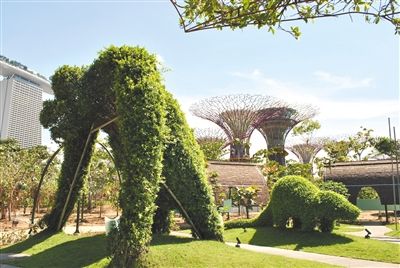 新加坡觀光新景點(diǎn)濱海灣花園由英國(guó)景觀事務(wù)所Grant Associates設(shè)計(jì)