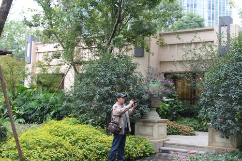住宅景觀獎 園林景觀 成都世貿(mào) 成都世貿(mào)猛追灣項目  小區(qū)入口