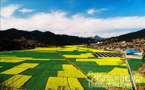 風(fēng)景園林闡釋自然觀的技藝