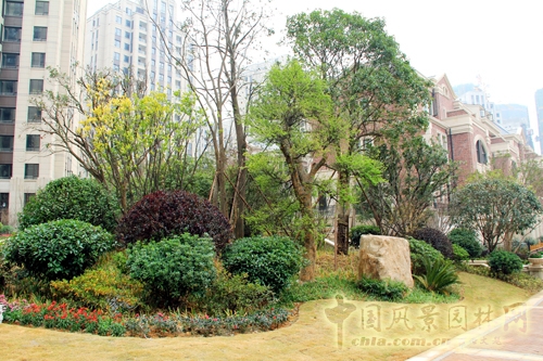 住宅景觀獎(jiǎng)  躍馬園林  金茂梅溪湖
