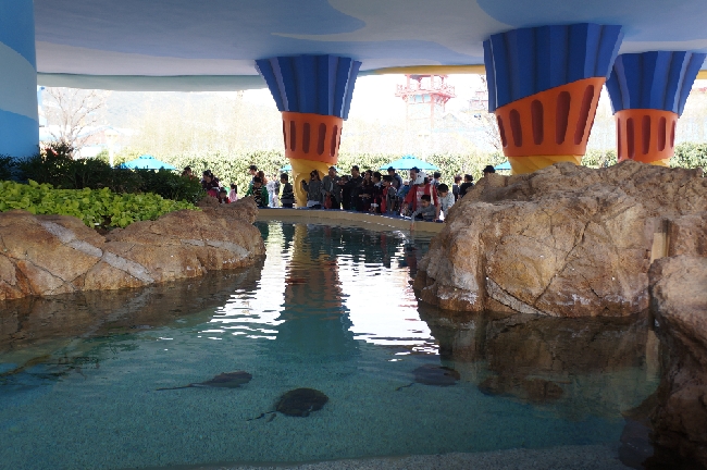 圖為長隆海洋王國中的一個水族館。