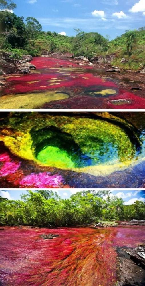 卡諾水晶河