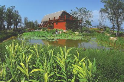 青島世園會 分會場 生態園 世園會