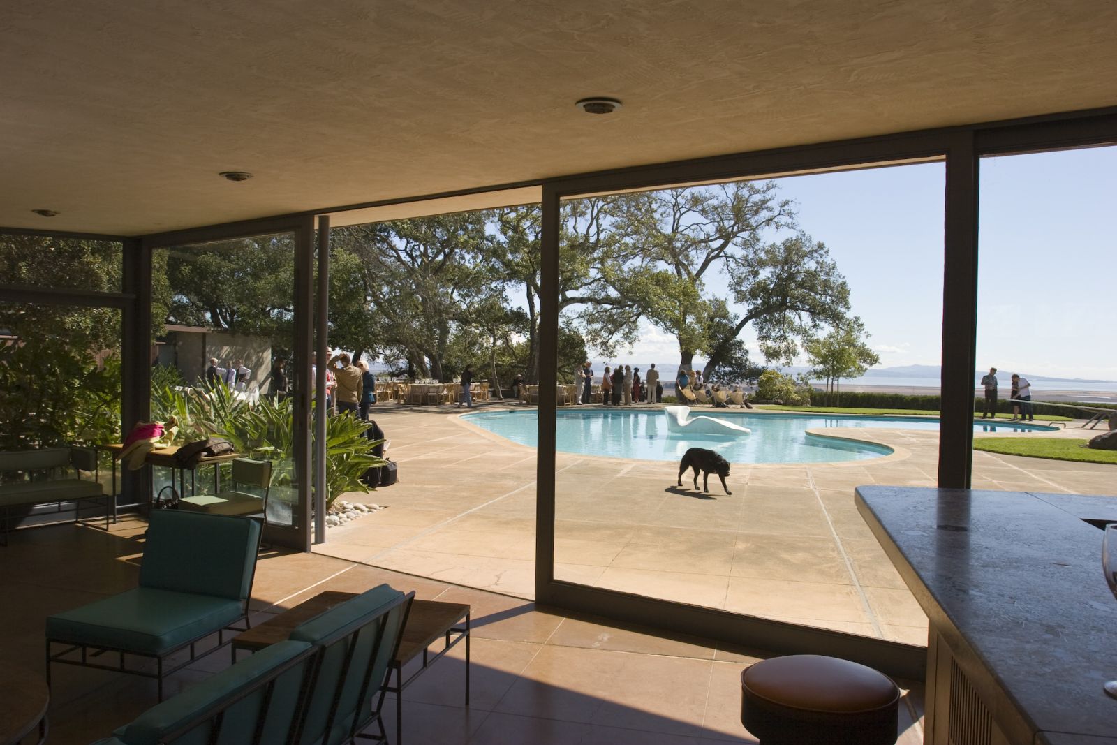 景觀設計 唐納花園 托馬斯·丘奇 加州花園